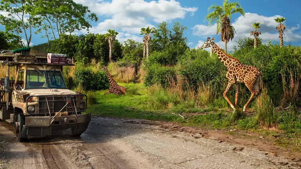 Animal Kingdom Kilimanjaro Safari