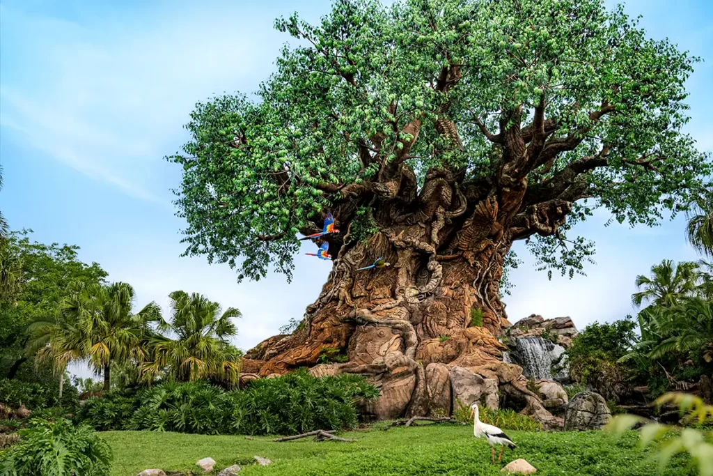 Animal Kingdom Theme Park at Walt Disney World